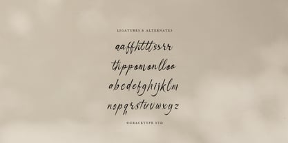 Danthalion Font Poster 12