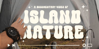 Tropical Beauty Font Poster 8