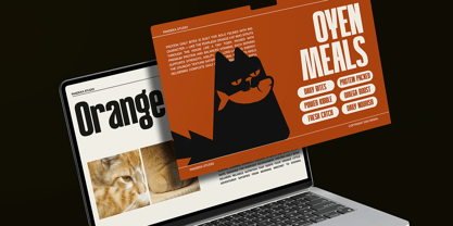 Negial Font Poster 6