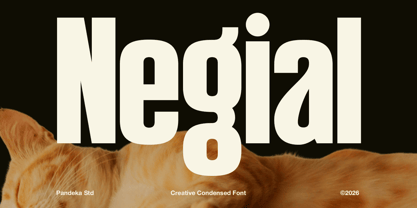 Negial Font Poster 1