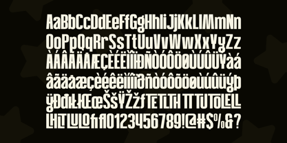 Negial Font Poster 9