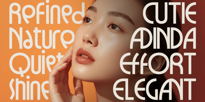Dh Caloins Font Poster 8