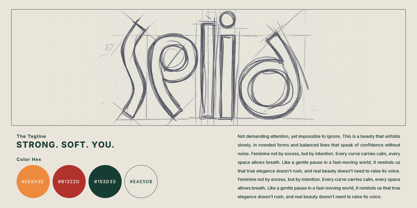 Dh Caloins Font Poster 10