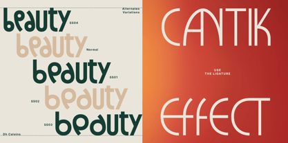 Dh Caloins Font Poster 5