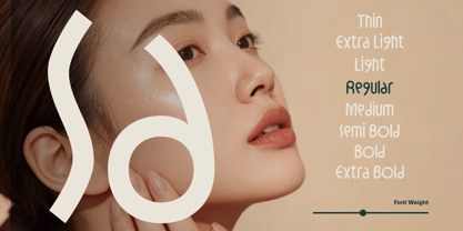 Dh Caloins Font Poster 3
