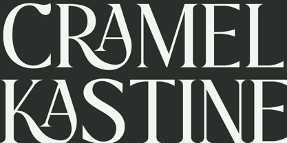 Praise Font Poster 5