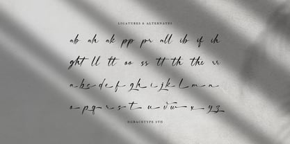 Rentosah Font Poster 12