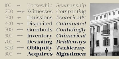 Bonarchi Font Poster 8