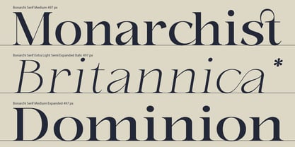 Bonarchi Font Poster 5