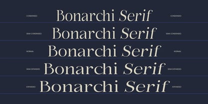 Bonarchi Font Poster 4