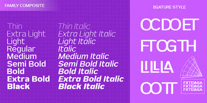 FX Telaga Font Poster 8
