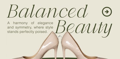 Mazzini Font Poster 5