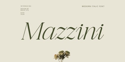 Mazzini Font Poster 1
