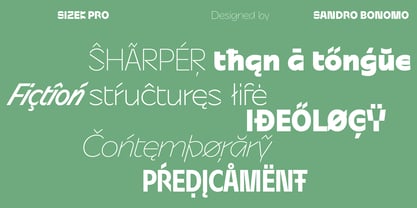 Sizek Pro Font Poster 6