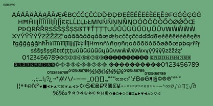 Sizek Pro Font Poster 4