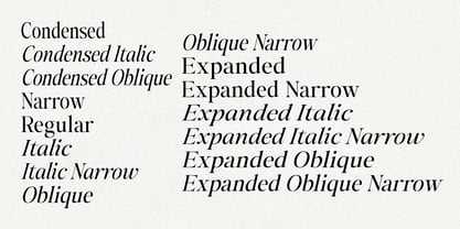 The Kayla Editorial Font Poster 9