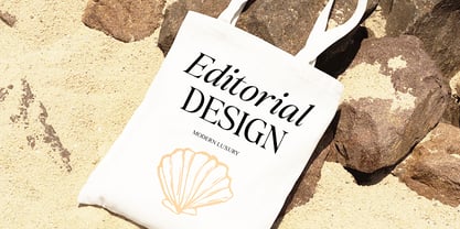The Kayla Editorial Font Poster 7