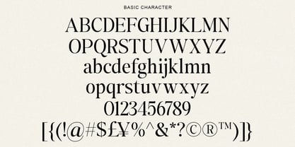 The Kayla Editorial Font Poster 11