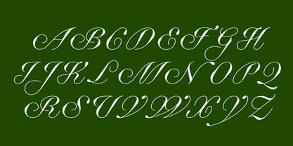 Business Blooming Font Poster 8