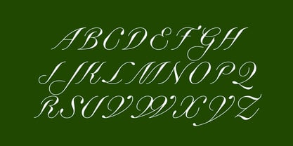 Business Blooming Font Poster 10