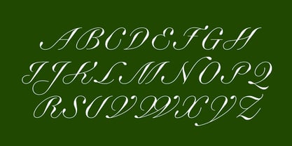 Business Blooming Font Poster 9