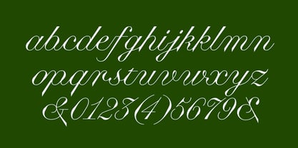 Business Blooming Font Poster 11