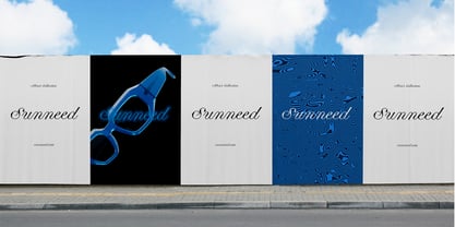 Business Blooming Font Poster 3