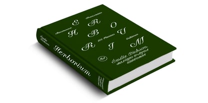 Business Blooming Font Poster 5