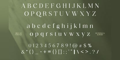 Wegato Font Poster 2