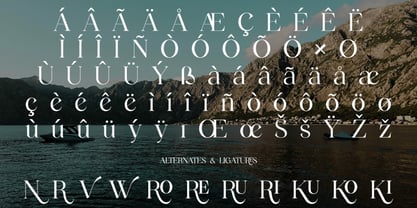 Wegato Font Poster 3