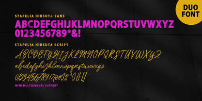 Stapelia Hirsuta Font Poster 8