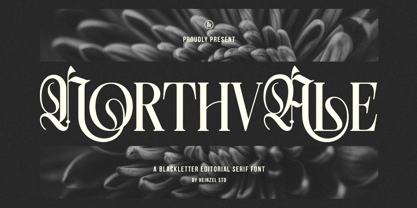 Northvale Font Poster 1