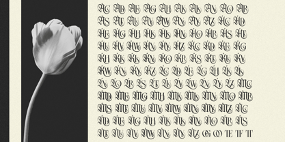 Northvale Font Poster 4
