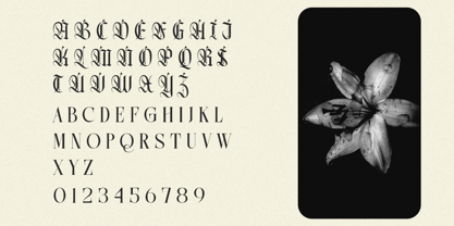 Northvale Font Poster 8
