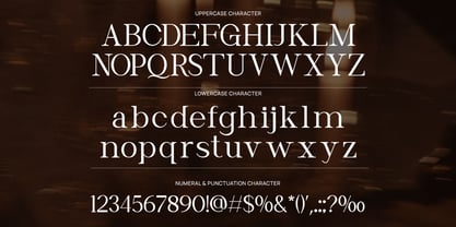 Lonika Font Poster 2