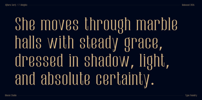 Affiora Serif Font Poster 2