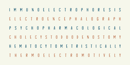 Jacquelinia Font Poster 5