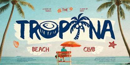 Palmila Font Poster 3