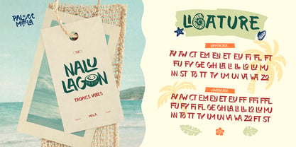 Palmila Font Poster 5
