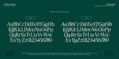 TBJ Moltefamilia Font Poster 2