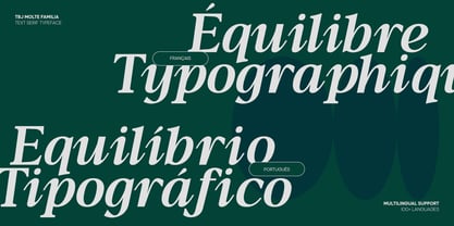 TBJ Moltefamilia Font Poster 15