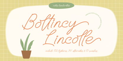 Boltincy Lincolle Font Poster 1
