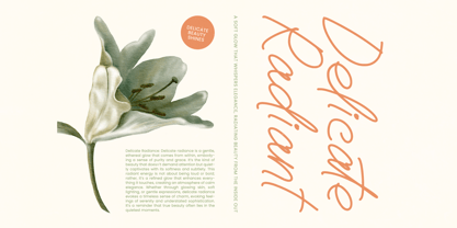 Boltincy Lincolle Font Poster 10