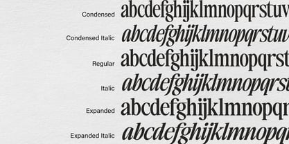 The Basilica Awesome Font Poster 4