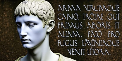 Vergils Archive Font Poster 3