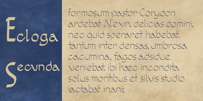 Vergils Archive Font Poster 5