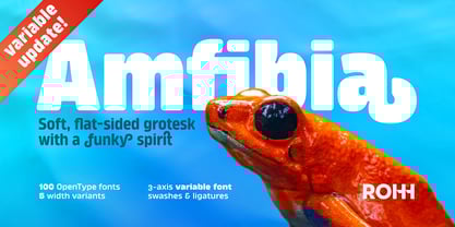 Amfibia Font Poster 1