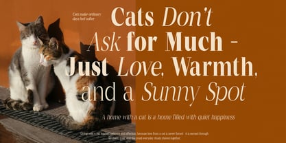 Mentoz Font Poster 6