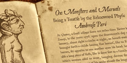 Malvolio Antique Font Poster 9
