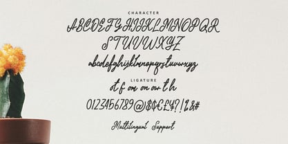 MC Lighty Kelghed Font Poster 6